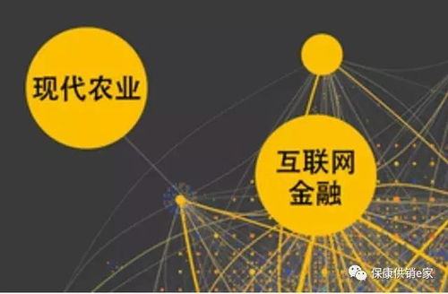 互聯(lián)網(wǎng)+農(nóng)產(chǎn)品業(yè)態(tài) ?？倒╀N社以“五有”模式助力鄉(xiāng)村振興